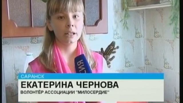 В Саранске стартовала акция «Чистые окна» смотреть онлайн