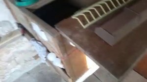 Брудер для цыплят из старого шкафа.