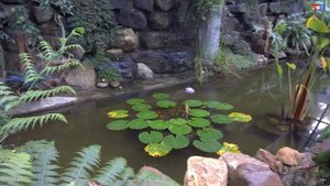 Small lake.  Маленькое озеро