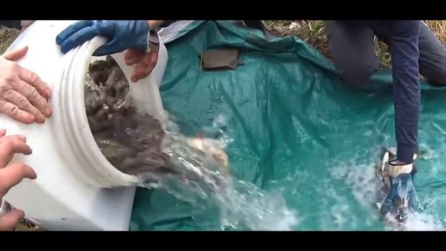 Песня Дневник рыболова Про РЫБАЛКУ!!! смотреть онлайн