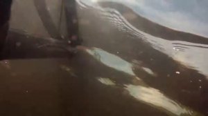 Salmon.Spearfishing. Семга.Подводная охота.