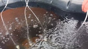 Установка нескольких распылителей работающих от одного компрессора