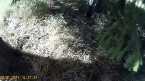 Копаем металлолом Лезет афигенный металл! проект ч1