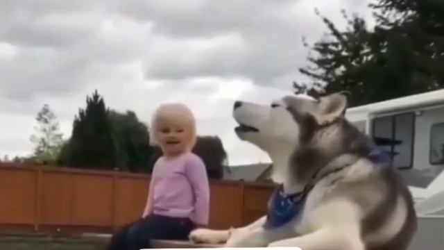 ... вечерняя репетиция перед ночным