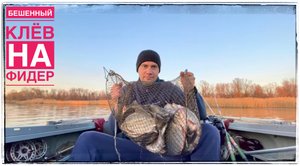 Бешенный клёв на Фидер Осенью река Дон.mp4