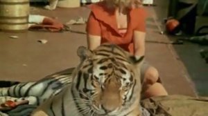 Полосатый рейс_chunk_42.avi