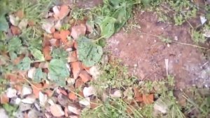 подъемно-поворотные ворота дешево своими руками