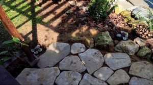 Супер лиана дающая плоды -Актинидия!Про дорожки в моëм саду. Довела до совершенства беседку у пруда