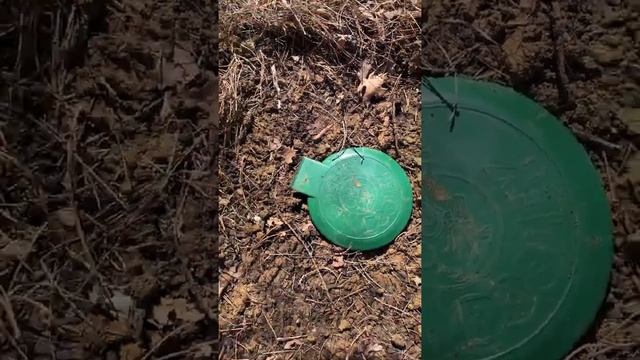 Dog poop septic system is a must have for any pet owner. смотреть онлайн