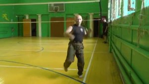 С А О  Стрела  Построение ударно   атаующей техники на принципах маятника