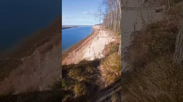 осенний лес смотреть онлайн