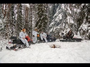 Охотничьи экспедиции  Охота на лося  Тайга Варяг