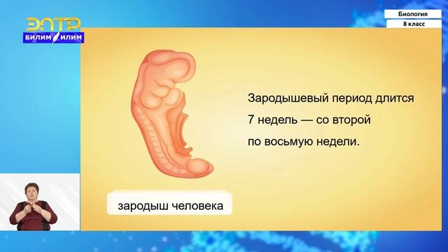 8-класс | Биология  | Размножение и развитие