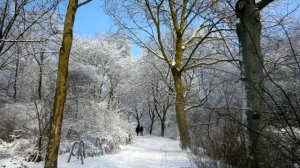 Unheilig Winter (Gregorian)