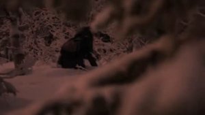 в поисках йети сюжет