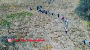 Камчатская очень ( Ганальские востряки)