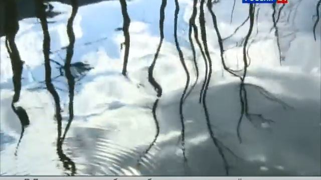 07 28 13 rybalka putin 07 00 doc vesti смотреть онлайн