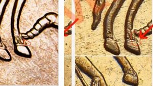 10 коп 2007М В1 В5