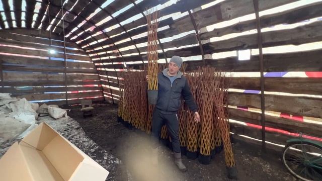 Русские пальмы #датскиекорни #ивавгоршке #русскаяпальма смотреть онлайн