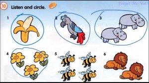 Fly High1 Урок 1 Сторінки 8-9 & Activity Book Відеоурок