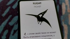 Эволюция время летать и континенты . Особые правила