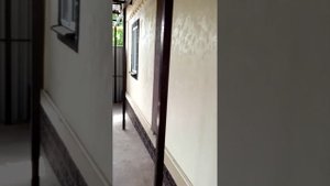 Карта мира и байрамикс с камнем на фасаде дома