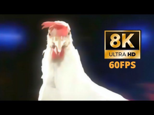 Chicken Techno (8K 60fps UHD)