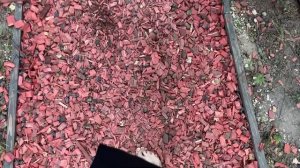 Прогулка по Босоногой тропе | Национальный парк Лосиный остров