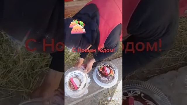 Угощаем тортом овечек.mp4