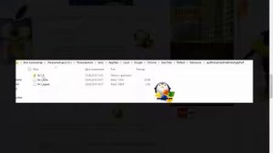 Как сохранить расширение google chrome для переноса