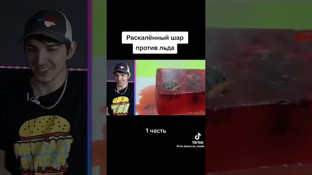 мистер бист