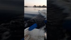 NISSAMARAN LAKER 300 под мотором Стрела 5л.с.
