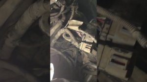 Форд фокус 2 ошибка u0101 неисправность коробки, постоянно крутит вентилятор (решение)