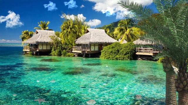 Я - ТАКОЙ ВАЖНЫЙ ИНДЮК. Читать всем, кто обижен. смотреть онлайн