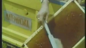 Пчеловодство, медоносные растения СССР