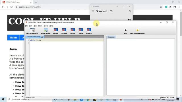 SikuliX Script | Use of wait(), for & while loop and open exe application | Tutorial #2 смотреть онлайн