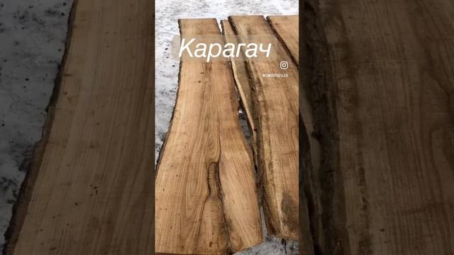 КАРАГАЧ СЛЭБЫ. Что лучше КАРАГАЧ или ОРЕХ? пишите в комментариях