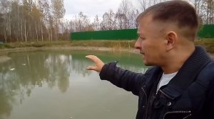 Осётр в дачном  пруду.