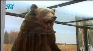 Музей охоты и рыболовства