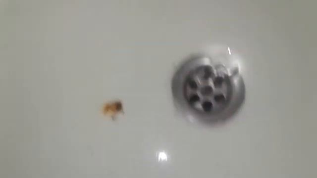 Торнадо в ванной смотреть онлайн