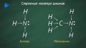 10 класс - Химия - Азотосодержащие органические соединения. Амины. Анилин