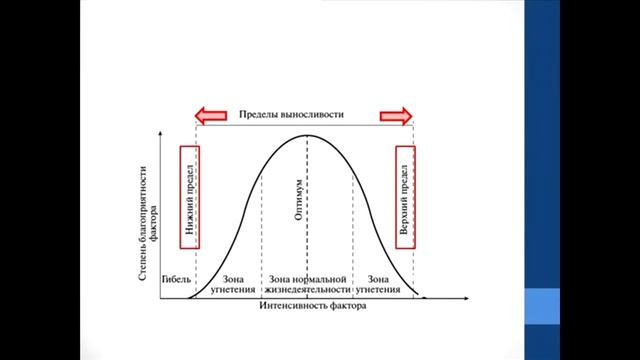 Биология. Объяснение темы "Закон оптимума" смотреть онлайн