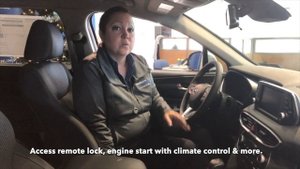 Hyundai Santa Fe Blue Link