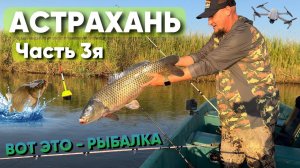 ТАКОЙ РЫБАЛКИ У МЕНЯ ЕЩЕ НЕ БЫЛО.