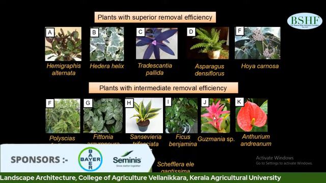 BSHF Webinar 4H- Talk-11, Foliage Plants for Urban Floriculture