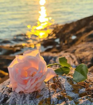 "Аве Мария"  Дж. S. Бах (1685-1750) и С. Гуно (1818-1893) Исполнитель Джон Майкл.