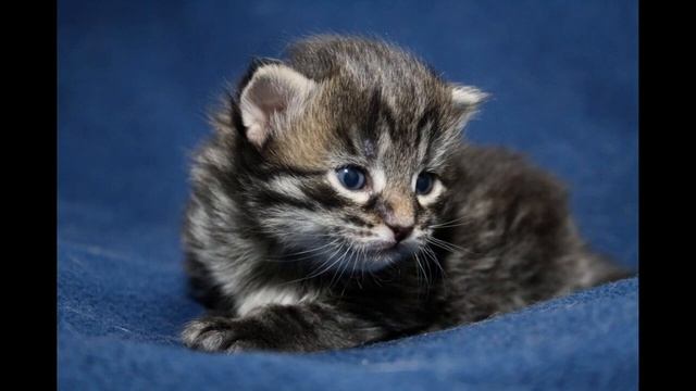 Маме смотреть онлайн