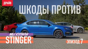 Купили Kia Stinger: Эпизод 7 — Альтернативная Skoda за 2,4 млн