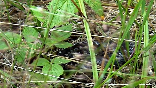 Сообщества 3 Атмосферное давление смотреть онлайн