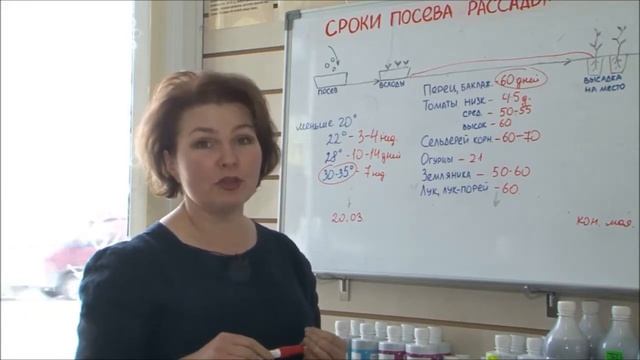 Как рассчитать сроки посева рассады